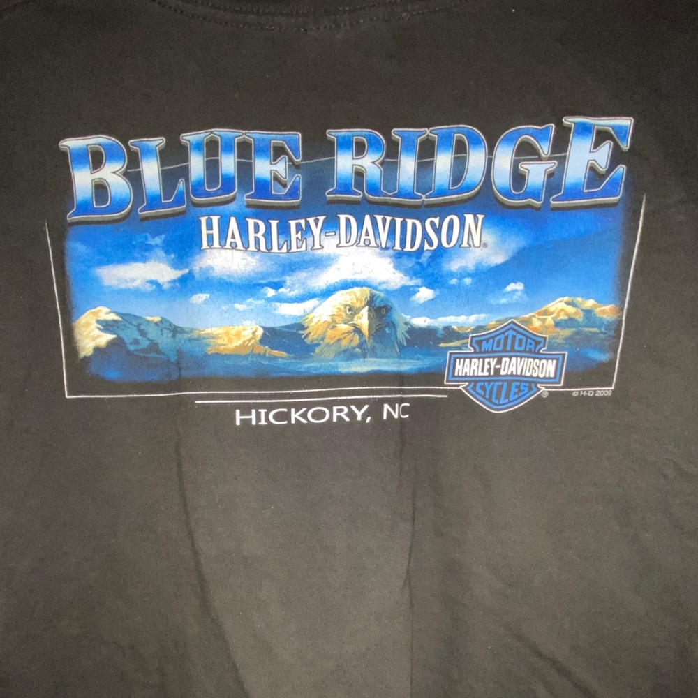 Gently worn Blue Ridge Harley Large T-shirt